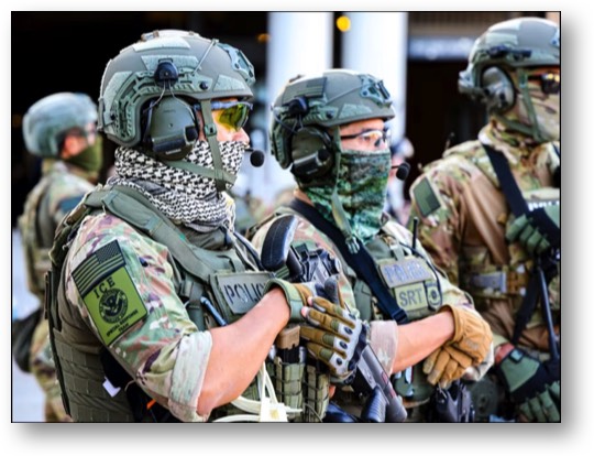ICE Goons!