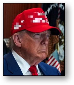 Dementia Donnie