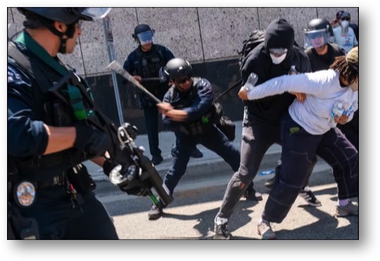 Trump's ignorant ICE goons!