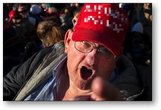 One of Trump's ignorant MAGA Maggots