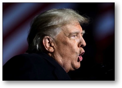The Twice-Impeached Narcissist!