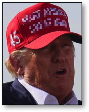 The Malignant Narcissist