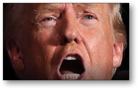 Trump: Dumbest of the Dumb!