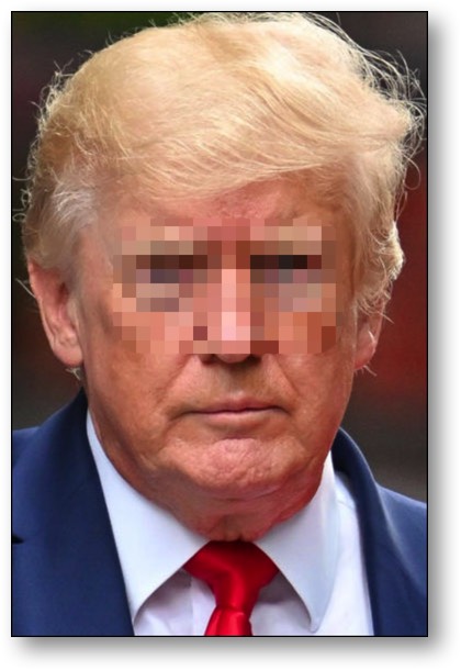 Trump - America's #1 LOSER!