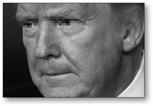 America's #1 traitor and insurrectionist!