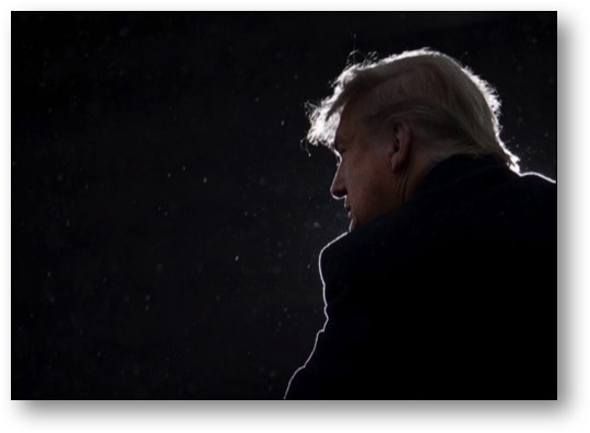 Trump: the mentally deficient con man!