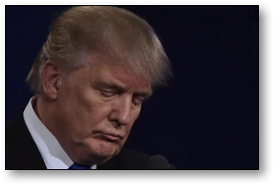 Trump, the PIG!