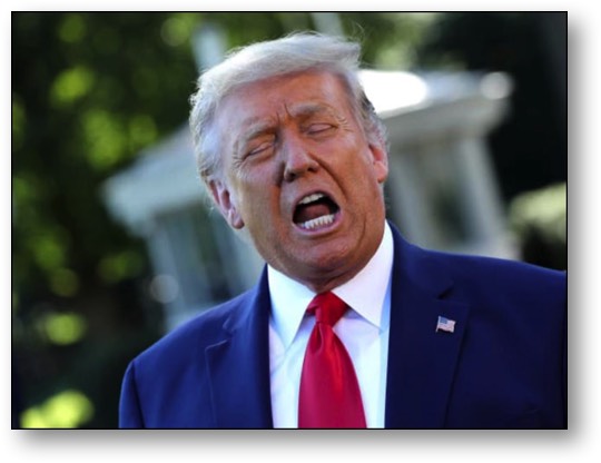 Asshole Trump is seriously mentally ill!