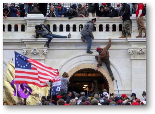 Trump's insurrection!
