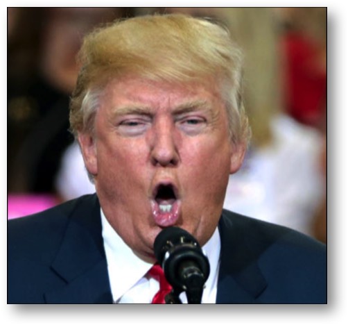 Trump, the retaliatory and defiant LOSER!