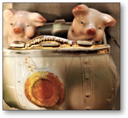 Trump and Marjorie Taylor Greene: two pigs in a poke