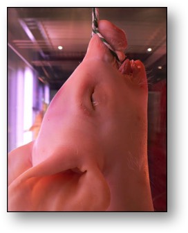 Hang the PIG!