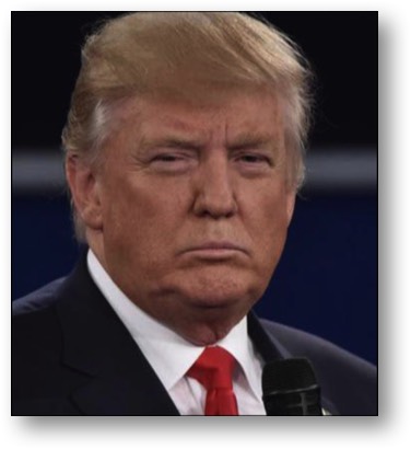 Trump, the lying pig!