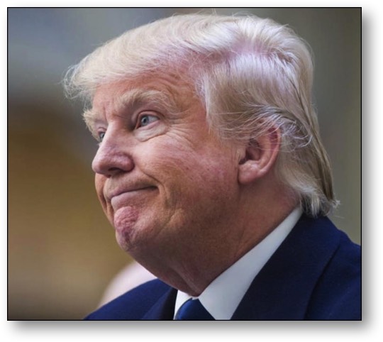 The incompetent malignant narcissist!