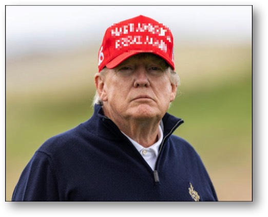 Trump - the BIGGEST LOSER!