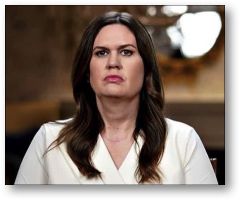 Sarah Huckabee Sanders, a MAGA Maggot Catastrophe!