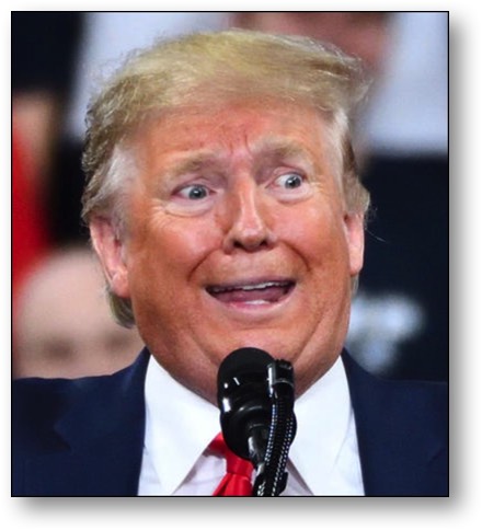 Trump - intellectually disabled