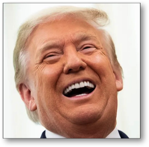 The Laughing Fool
