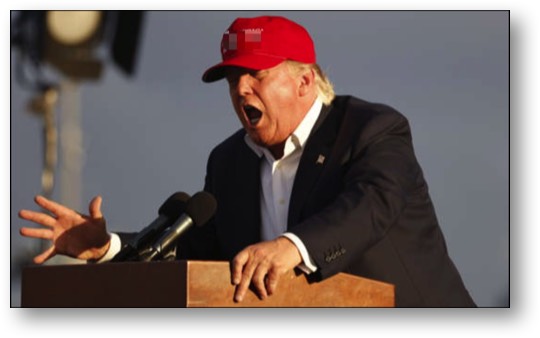 Trump - MAGA Maggot Cult Leader