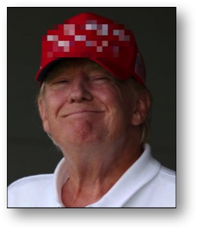 Trump, the Sexual Abuser and Felon!