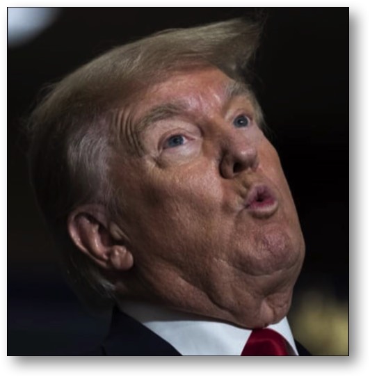 Trump was born with a very small brain!