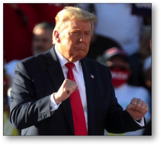 Trump, the convicted Sexual Abuser!