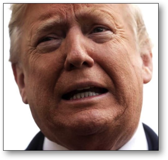 Trump - the Pathetic Pig!