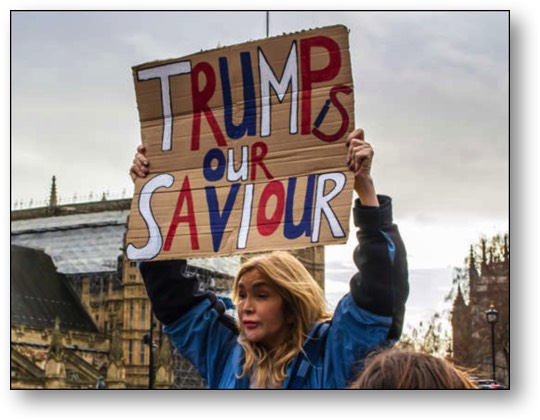 Stupid is as stupid does!