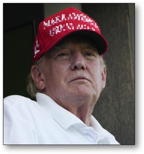 Disqualify Trump from running again!