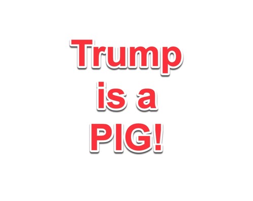 Trump is a PIG!