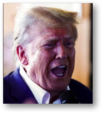 Trump, the TRAITOR, belongs locked in a cage!