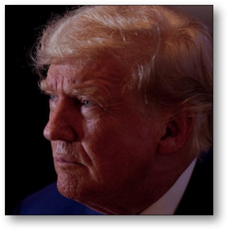 Trump, the TRAITOROUS PIG!