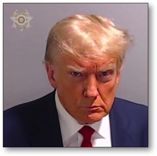 Trump's Fulton Count Jail mug shot