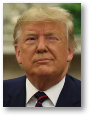Trump, the Lying Bastard!