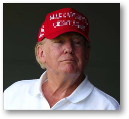 Citizen Trump, the LOSER & TRAITOR!
