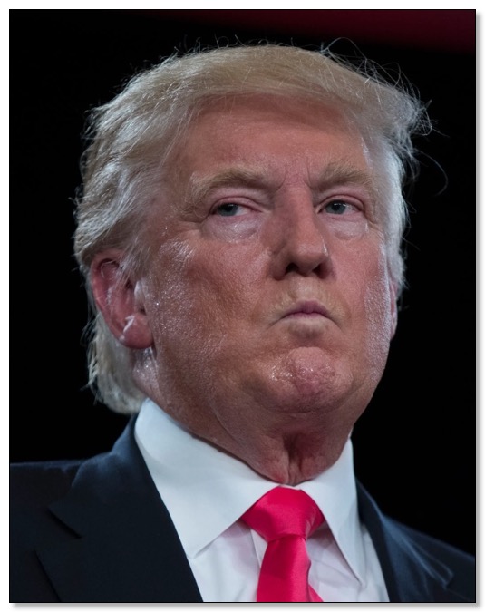 Trump: The Sexual Abuser!