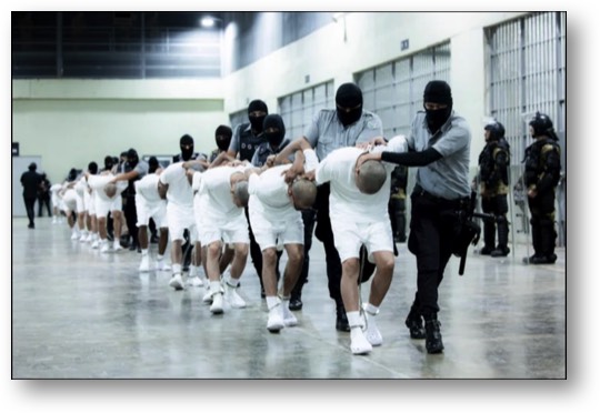 Trump deported immigrants illegally!