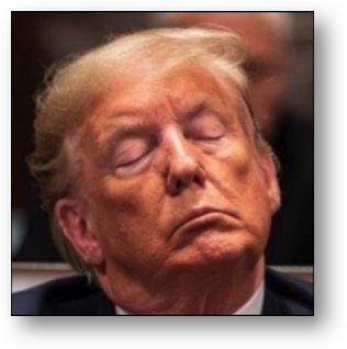 Trump is a malignant narcissist!