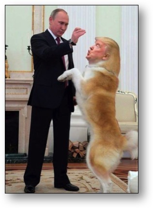 Trump is a Putin ass-kisser!