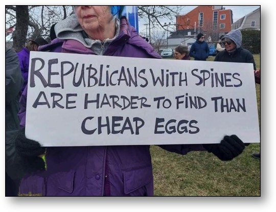 Republican legislators are SPINELESS!