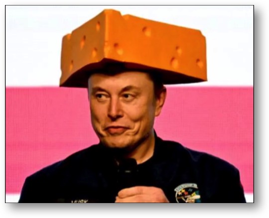 Elon Musk, the druggie!