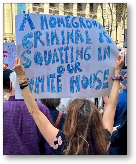 Trump is America's #1 Criminal Felon!