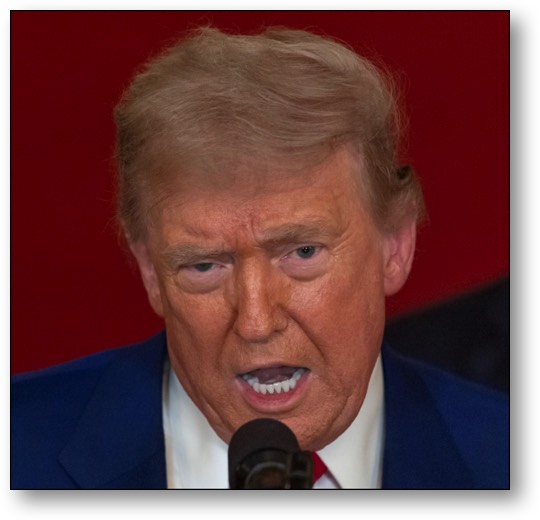 Gullible Dementia Donnie