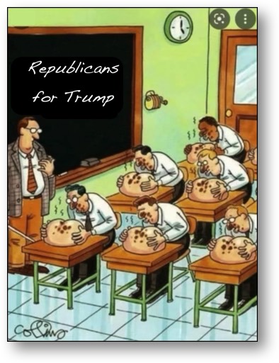 Worthless House and Senate Trump Ass-Sniffers!