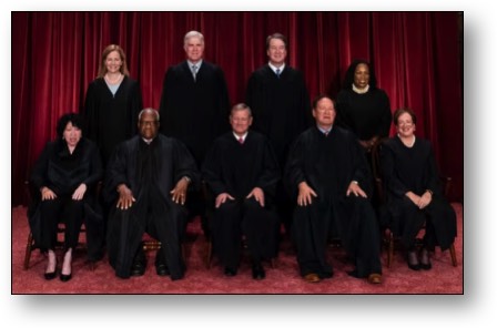 The Cowards who fail to uphold our Constitution