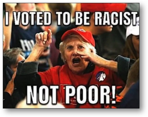 An ignorant MAGA Maggot!