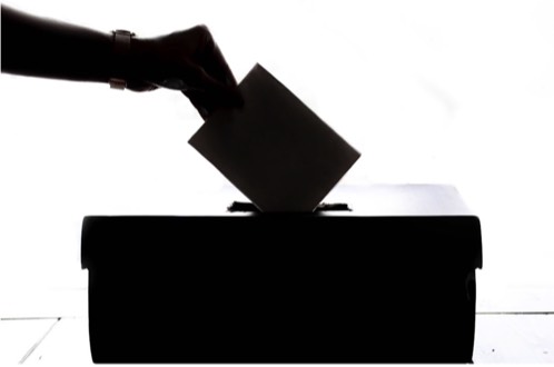 Vote out the Republican PIGS!