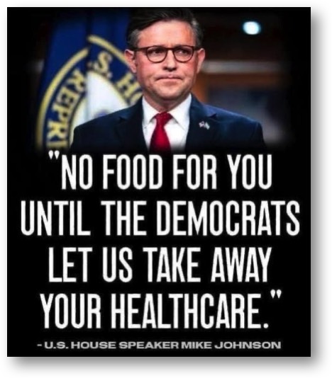 MAGA Maggot Mike Johnson