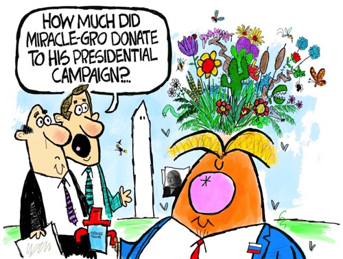 No Brains Donnie!