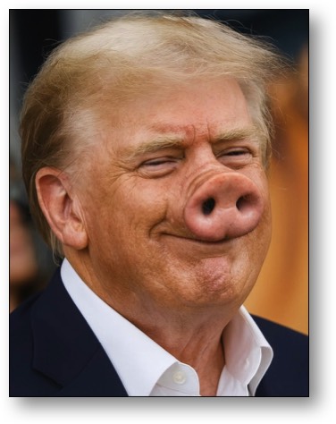 The Pompous Pig!
